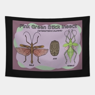 Pink green stick insect (heteropteryx dilatata) Poster Tapestry