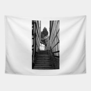 Alley in Stolberg / Harz with stairs in black and white Tapestry