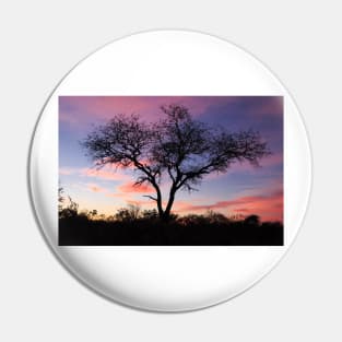 Sunrise Tree Silhouette in Kruger National Park, South Africa Pin