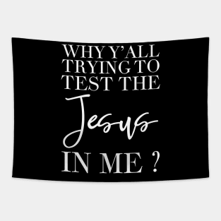 Why y'all trying to test the jesus in me Tapestry