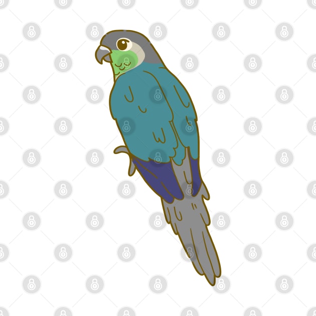 Turquoise Green Cheek Conure by casserolestan