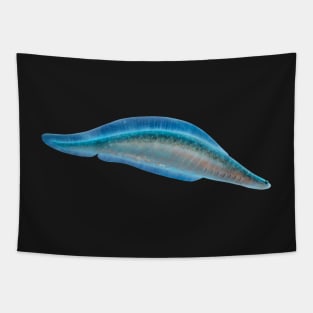 Haikouichthys from Cambrian, original artwork Tapestry