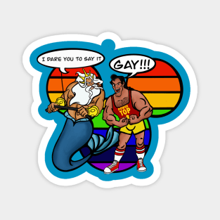 SAY IT!  GAY!!! Magnet