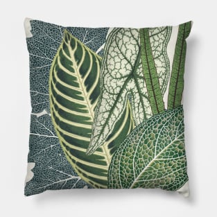 Green tropical leaves Pillow