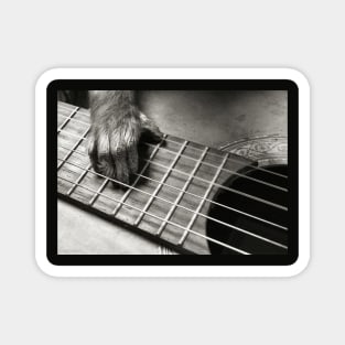 Guitarist Monkey Musician Magnet