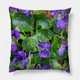 violets Pillow