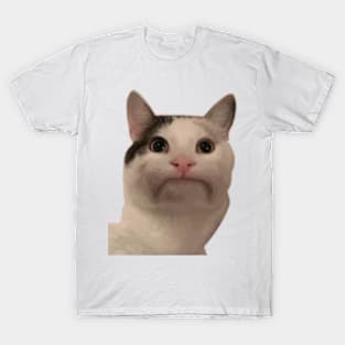 Beluga cat, Beluga Cat Meme, Meme Sticker for Sale by graphic