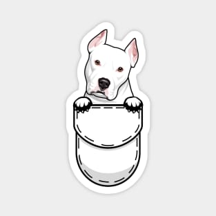 Pit Bull Terrier Pocket Dog Magnet