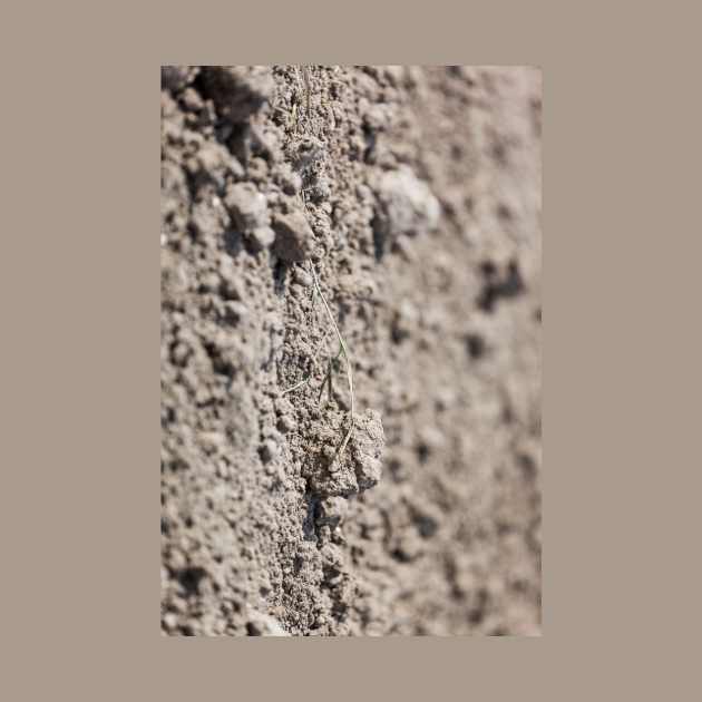 Dried Dirt Rubble Surface With Green Grass Stem by textural