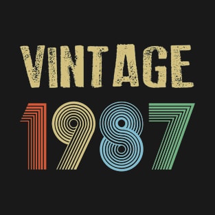 Vintage 1987 Birthday T-Shirt