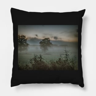 June fog over Clifton 3 Pillow