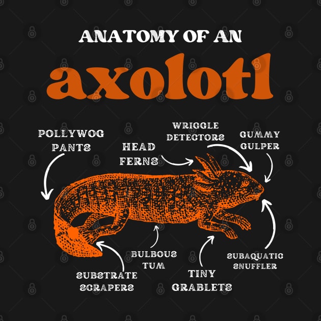 Anatomy of an axolotl axolotls lover by JustBeSatisfied