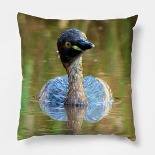 Australasian grebe, Australia Pillow