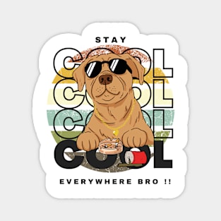 stay cool everywhere brohh Magnet