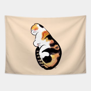 Sleeping cat baby Tapestry