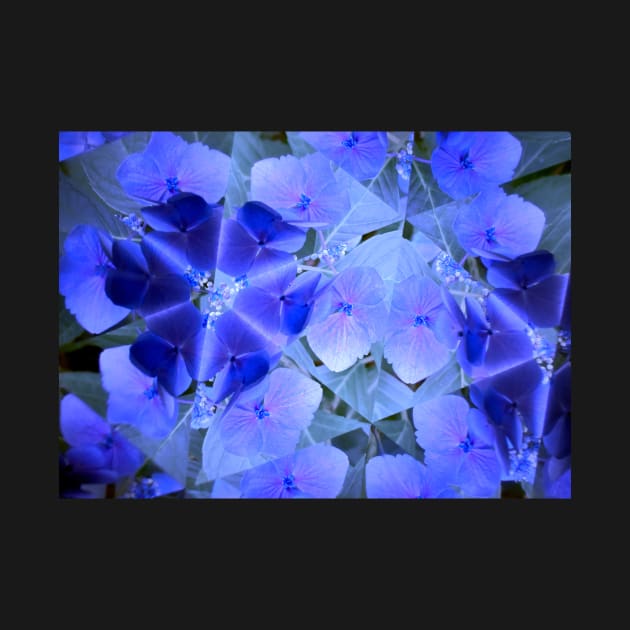 Kaleidoscope Royal Ocean Blue Flower by Kaleidoscope Therapy