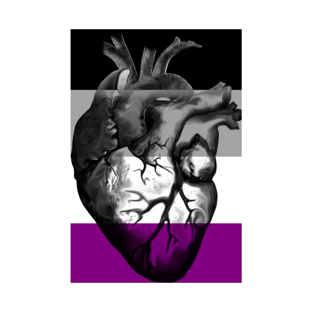 Asexual Pride Anatomic Heart by incloudines