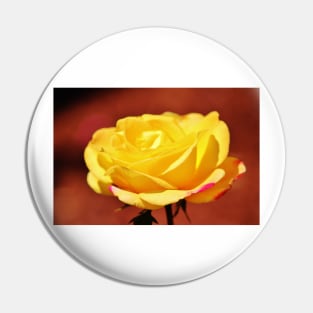 Bright Yellow Rose With Pink Pin