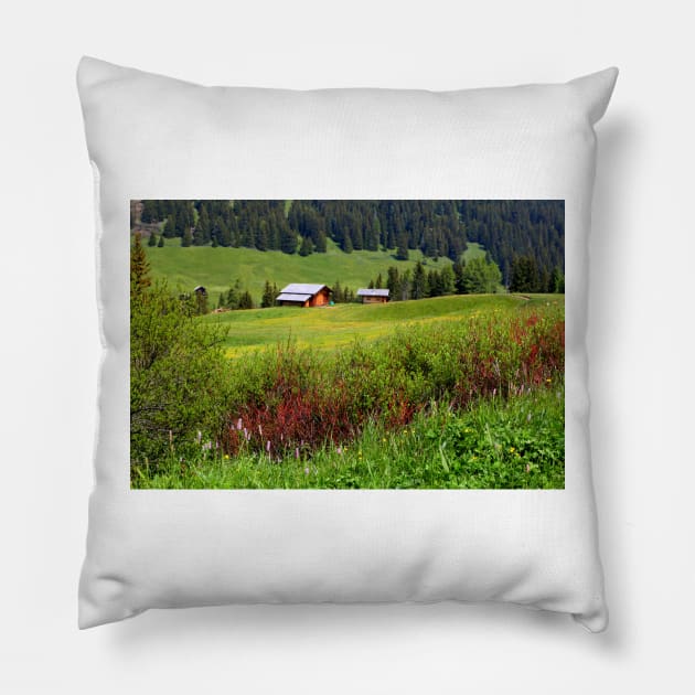 Harmony of colors Pillow by annalisa56