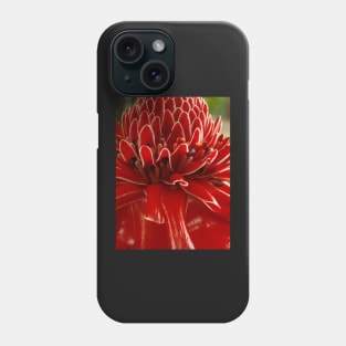 Torch Ginger, Costa Rica, Piedades, Costa Rica Phone Case