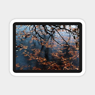 Oak Branch and Leaves in Frozen Lake Magnet