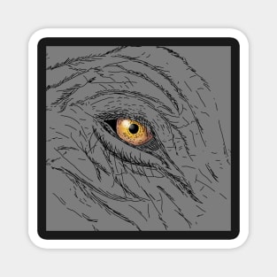 Elephant Eye Illustration Magnet