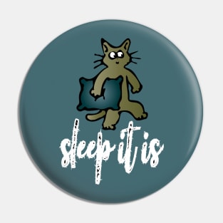 sleep it is Pin