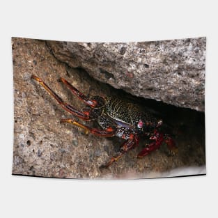 Red Rock Crab Tapestry