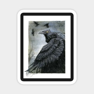 A Crow's Shadowed Wings Magnet