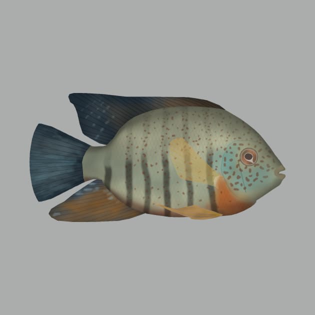 Red Tiger Severum by FishFolkArt