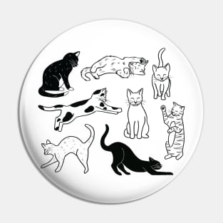 Cat Lover Pin