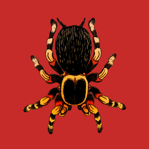 Tarantula by Mended Arrow