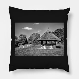 Thatched building on Woodbastwick green, Norfolk Pillow