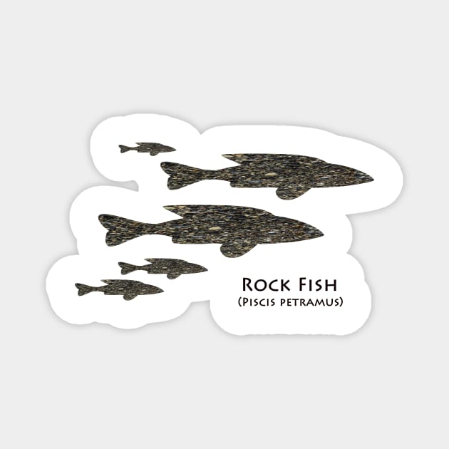 Rock Fish - Picis petramus Magnet by Whisperingpeaks