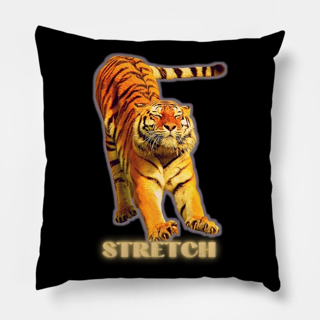 Large tiger doing a stretch exercise - silver gold 1 Pillow by Blue Butterfly Designs 