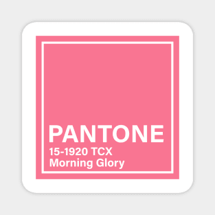 pantone 15-1920 TCX Morning Glory Magnet