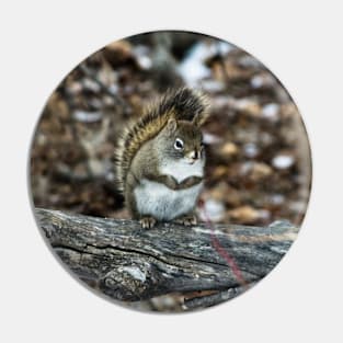 Little Red Squirrel on the trail Pin