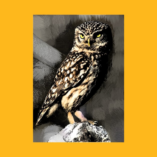 Night owl by STUDIOVi