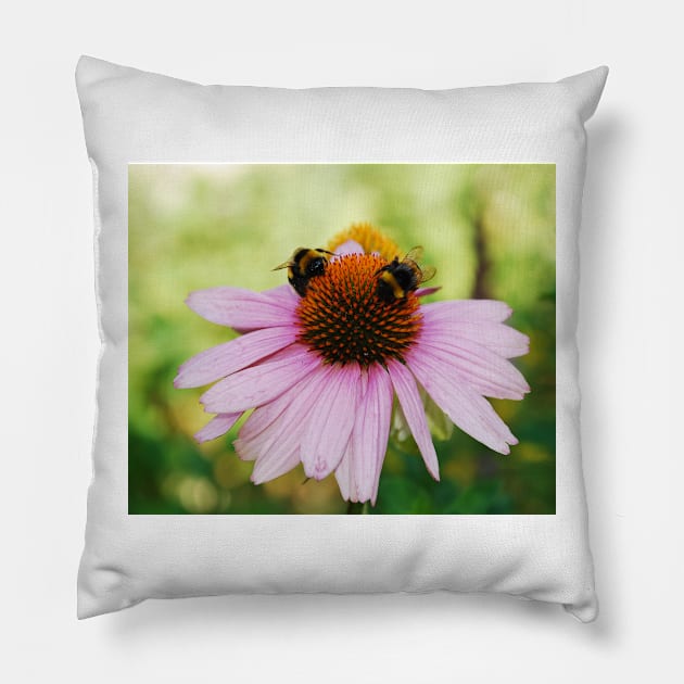 Echinacea Purpurea with Bees Pillow by jojobob