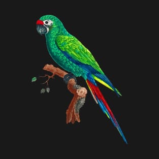 Black Panther Art - Beautiful Parrot 4 T-Shirt