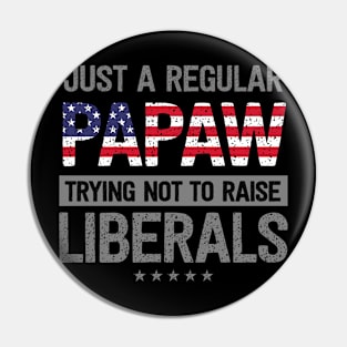 Regular Papaw Raise Liberals USA Flag Father's Day Pin