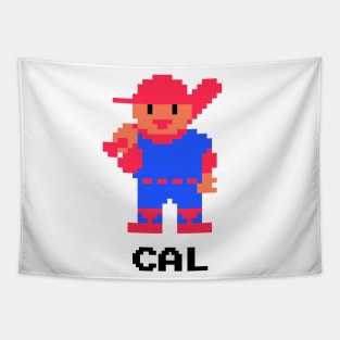 RBI Baseball - California Tapestry