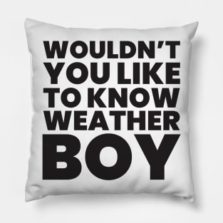 Wouldn't You Like To Know Weather Boy Meme Pillow