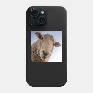 Funny Sheep Lover Design Are You Looking At Me? Funny Sarcasm Farmhouse Decor & Gifts Phone Case