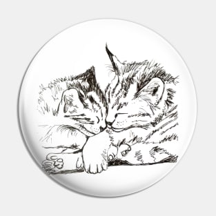 Joint Cat Nap Pin