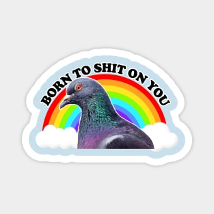 Born To Sh*t On You - Humorous Pigeon Design Magnet