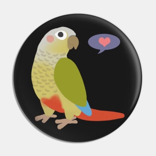 Cinnamon Green Cheek Conure Pin