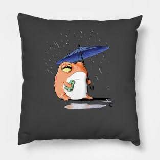 Rain Frog Melancholy Pillow