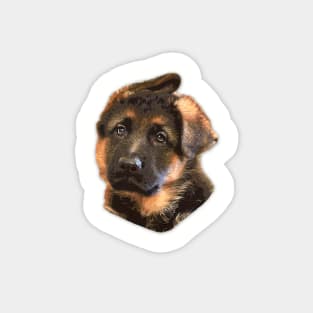 German Shepherd Puppy Dog Ears Magnet