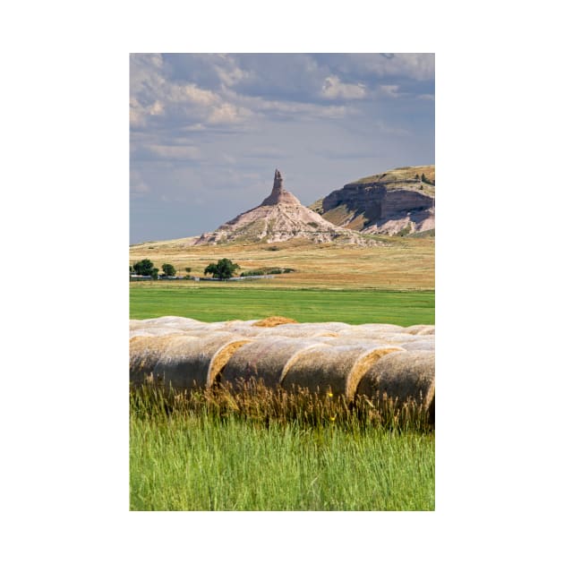Chimney Rock, Nebraska, USA (C023/8420) by SciencePhoto